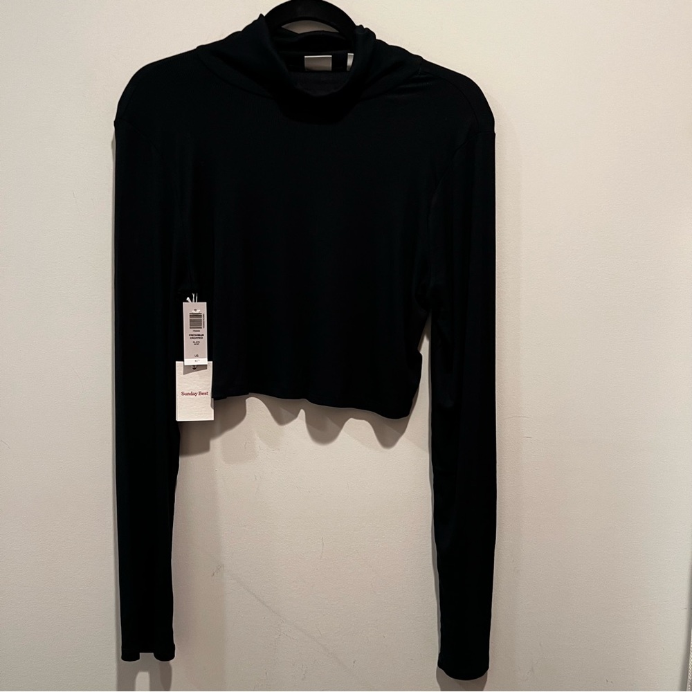 Aritzia Sunday Best ribbed crop top mock neck